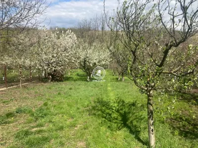 Vila de vanzare, Holboca, Ruseni - foto 5
