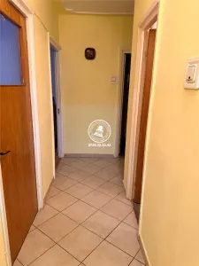 4 camere decomandat Dacia - foto 5
