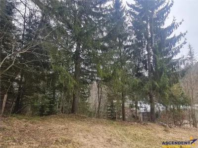 Incadrata de 4.200mp teren, Vila cu potential turistic, in inima Predealului - foto 6