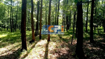Teren forestier cu padure 484 ha si 240 ha, judetul Mehedinti - foto 3