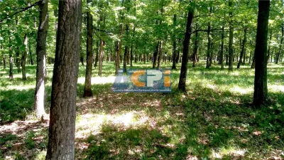 Teren forestier cu padure 484 ha si 240 ha, judetul Mehedinti - foto 4