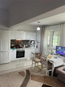Apartament 2 camere  de vanzare  Bucium - foto 7