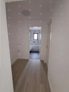 Apartament 2 camere demisol fara a fi ingropat in pamant, cu teren in proprietate. - foto 8