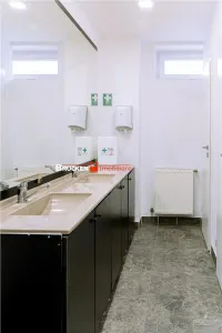 Ultracentral Oradea - Cladire de birouri P+E+M cu dotari moderne si parcare proprie - foto 8