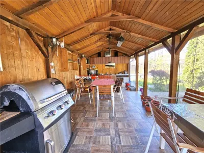 PROPRIETATE CU AFACERE FUNCTIONALA DE VANZARE - PETREU, LANGA MARGHITA - foto 6