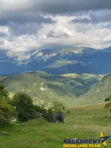 8.000 mp teren, Fundata - foto 11