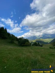 8.000 mp teren, Fundata - foto 9