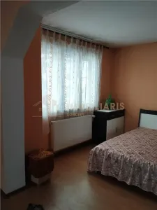Casa individuala Satu Nou de Sus - foto 4