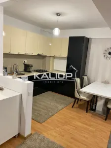 Apartament 2 camere | Gradina cu CF | Calea Turzii - foto 3