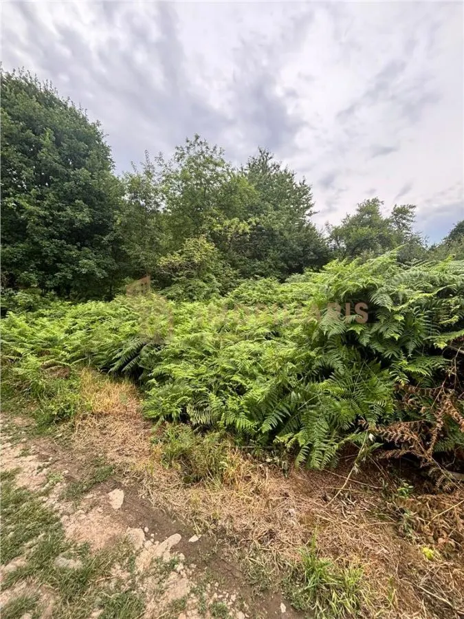 Teren intravilan strada Codrului - foto 4
