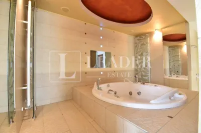 Penthouse spectaculos I Herastrau - foto 25