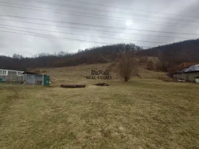 1.3 haTeren si  Casa Luncoiu de Jos - foto 17