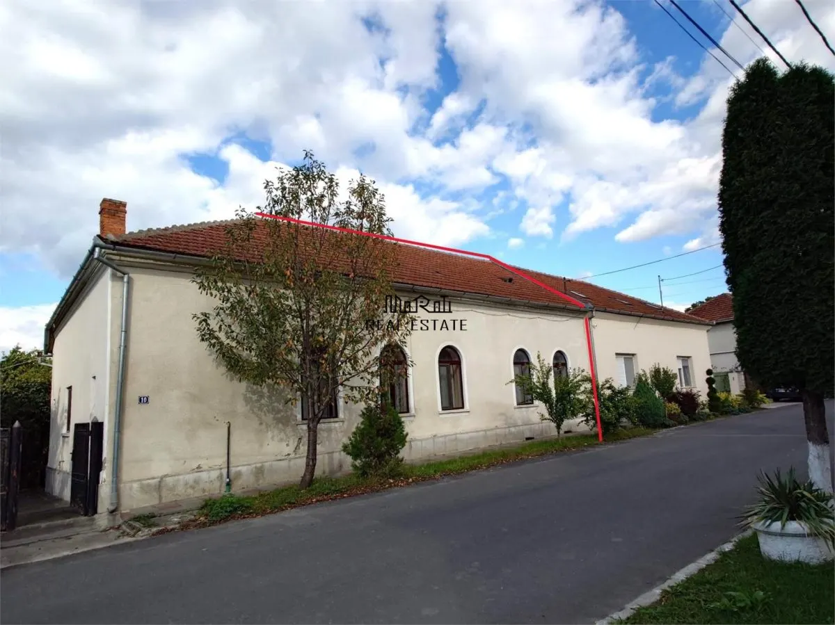 Casa cu aer nobil in Baia de Cris - foto 15