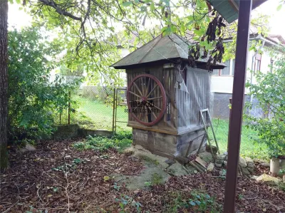 Casa cu aer nobil in Baia de Cris - foto 18