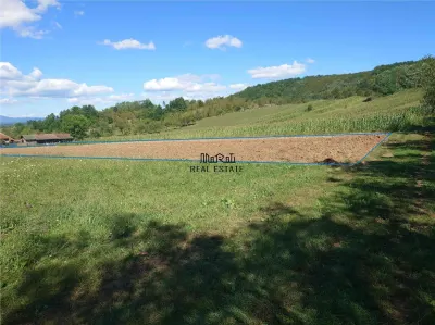Teren intravilan pentru casa sau vacanta, Lunca, Baia de Cris - Baia de Cris