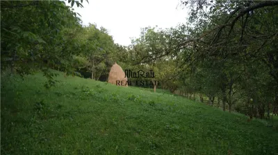 10 hectare teren plus casa la munte in Buces, Hunedoara - foto 10