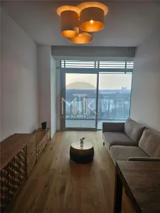 AVIATIEI/FLOREASCA | Apartament 2 camere LUX | Prima Inchiriere - Bucuresti