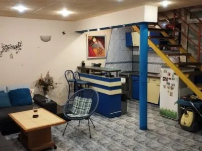 Imobil doua corpuri P+2+pod si P+1 | zona Splaiul Unirii | - foto 9
