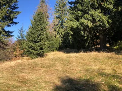 Teren superb extravilan in apropiere de Poiana Brasov - foto 3