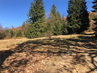 Teren superb extravilan in apropiere de Poiana Brasov - foto 4