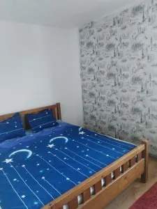 Apartament 2 camere zona Craiter - foto 3