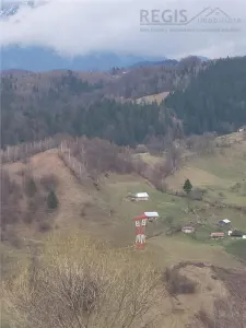 Teren, Zona de Interes Turistic-Cheile Gradistei,  8800mp - Cheia