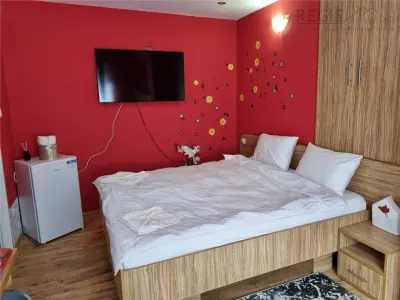 Hotel Boutique in centrul istoric al Brasovului , Comision 0% - foto 9