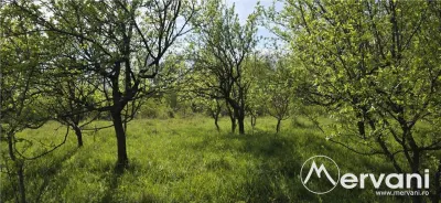 Teren de vanzare in Campina - foto 7