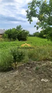 TEREN INTRAVILAN 4400 - foto 2