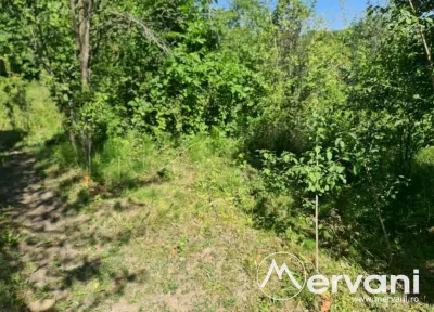 Teren de vanzare in Poiana Campina - foto 2