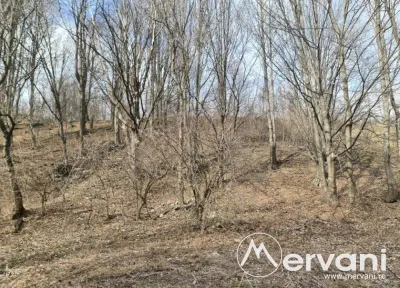Teren de vanzare in Sinaia - Zona Platou Izvor - foto 4