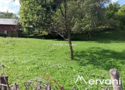 Teren de vanzare in Comarnic (zona Ghiosesti) - foto 3