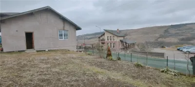 IASI VISAN BUCIUM CASA DUPLEX LA STRADA - foto 3