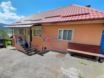 Vanzare casa cu anexe si 5500 mp teren, Valea Ariesului, Salciua - foto 2