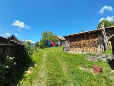 Vanzare casa cu anexe si 5500 mp teren, Valea Ariesului, Salciua - foto 5