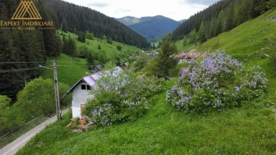 Teren cabana intr-un satuc din Bucovina cu toate utilitati - foto 2