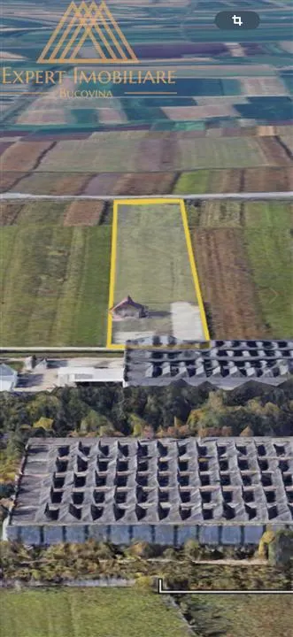 Vinzare, inchiriere 2.1 Ha sau parcelare in parcele a cate 10 ari, zona Rulmentul - foto 4