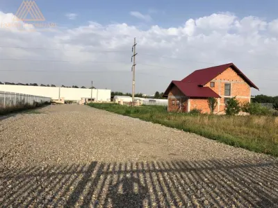 Vinzare, inchiriere 2.1 Ha sau parcelare in parcele a cate 10 ari, zona Rulmentul - foto 10