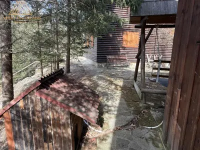 Cabana Vanatorului, sursa de apa, lemne, parau pe proprietate, fantana - foto 16