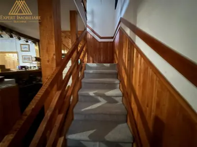 Cabana Vanatorului, sursa de apa, lemne, parau pe proprietate, fantana - foto 21