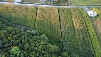 Teren intravilan 4600mp Ipotesti - Ipotesti