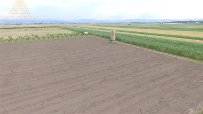 Teren extravilan comasat 9 hectare cu plantatie  3 Euro pe m2 Suceava - foto 9