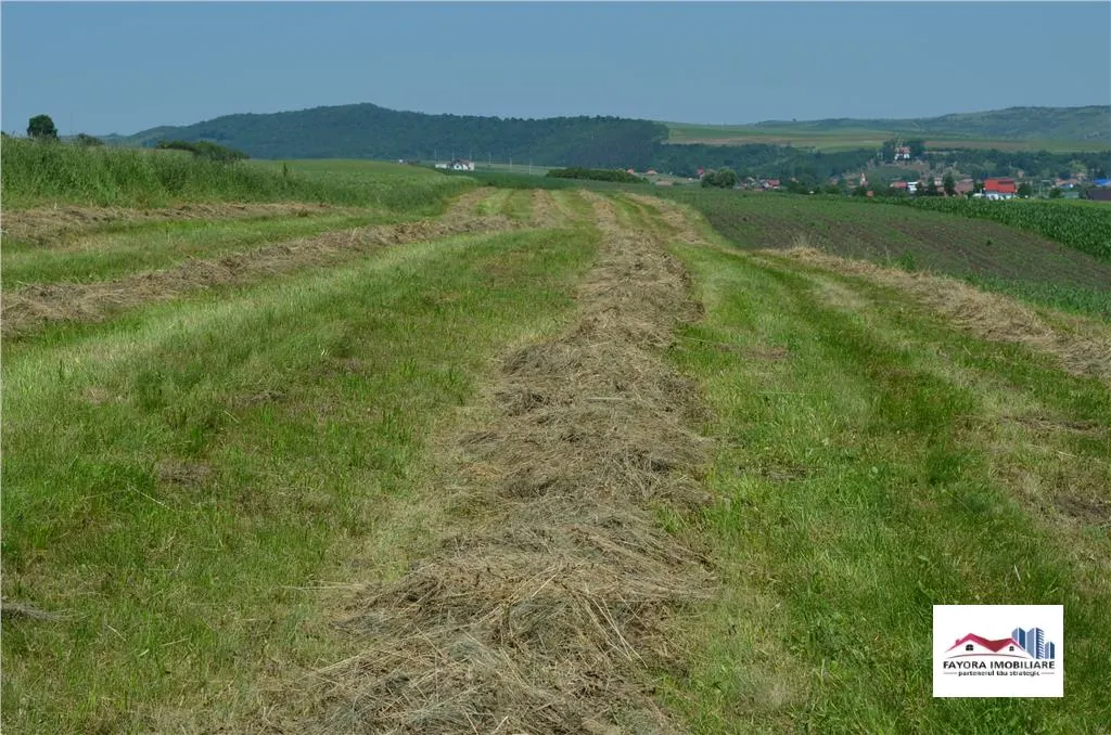 Teren de Vanzare in Voiniceni - foto 1