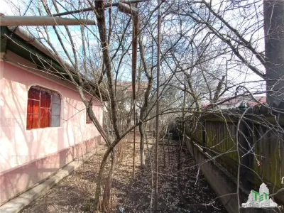 Casa taraneasca traditionala pe parter cu gradina si livada 1700mp in Gruiu, la 10 min de DN1 si la 4 min de A3. - foto 6