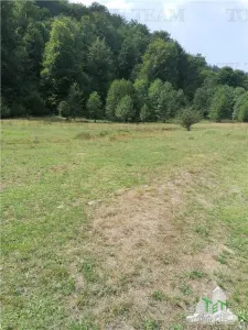 Teren intravilan - Berevoiesti - Arges - foto 4