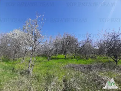 Teren 4000 mp + casa demolabila in Bragadiru/Varteju (Magurele) - Varteju