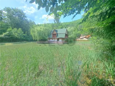RECO, Cabana pe apa in Padurea Neagra, Bihor - Padurea Neagra