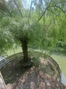RECO, Cabana pe apa in Padurea Neagra, Bihor - foto 11