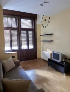 Ultracentral, apartament 2 camere, centrala proprie, clima - Timisoara