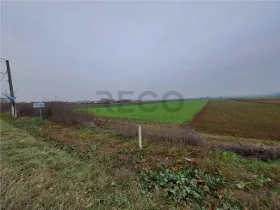 RECO teren Chiribis - foto 5